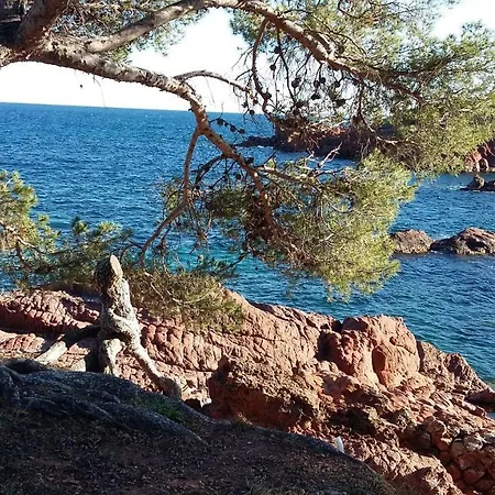 Apartment Ensolleiado Saint Raphael *