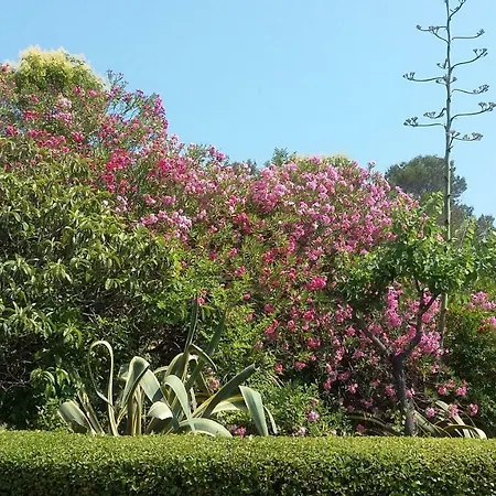 Ensolleiado Saint Raphael Apartment *